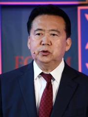 Photo of Meng Hongwei