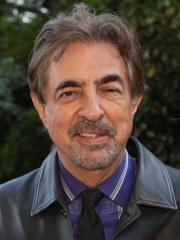 Photo of Joe Mantegna