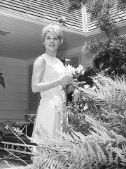 Photo of Hope Lange