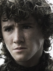 Photo of Art Parkinson