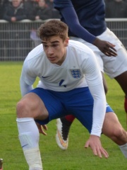 Photo of Harry Winks