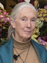 Photo of Jane Goodall