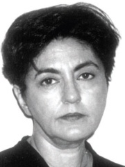 Photo of Nalini Malani