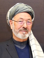 Photo of Karim Khalili