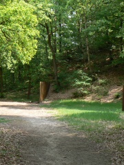 Photo of Richard Serra