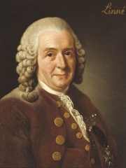 Photo of Carl Linnaeus