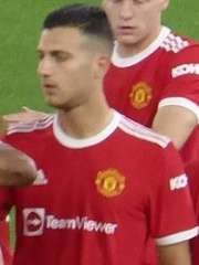 Photo of Diogo Dalot