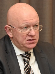 Photo of Vasily Nebenzya