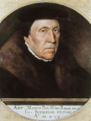 Photo of Jan van Scorel