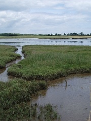 Photo of Anna of East Anglia