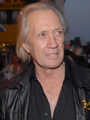 Photo of David Carradine