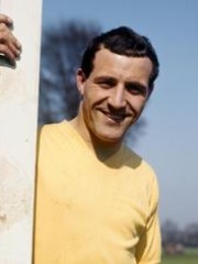 Photo of Ron Springett