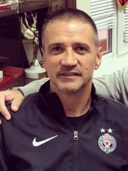 Photo of Zoran Mirković