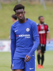 Photo of Callum Hudson-Odoi