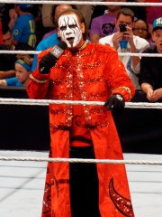 Photo of Sting