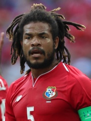 Photo of Román Torres