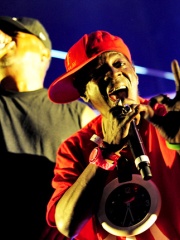 Photo of Flavor Flav