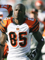 Photo of Chad Johnson