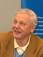 Photo of David Attenborough