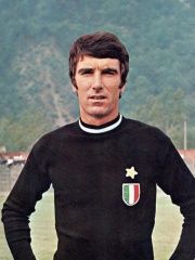 Photo of Dino Zoff